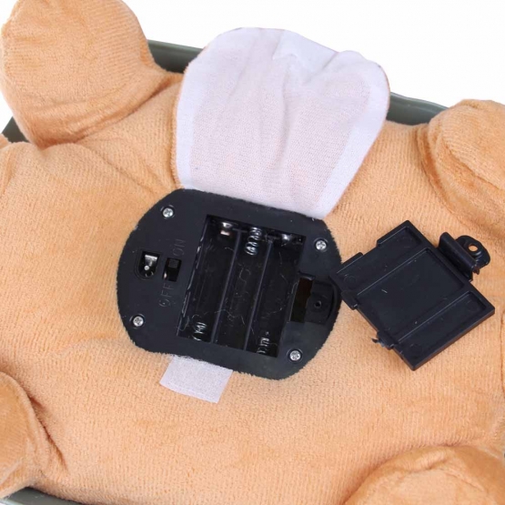 Magická svietiaca korytnačka tmavo zelená