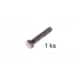 Skrutka M12x60 66g