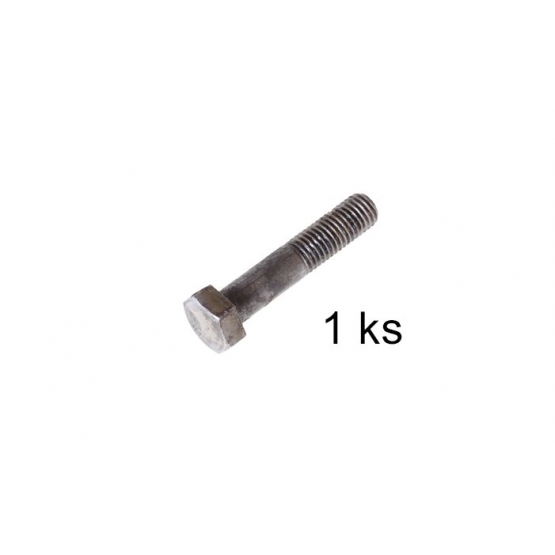 Skrutka M12x60 66g