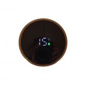 Nerezová termoska s LED displejom zlatá