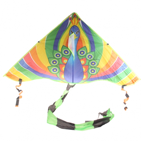 Lietajúci drak var.6