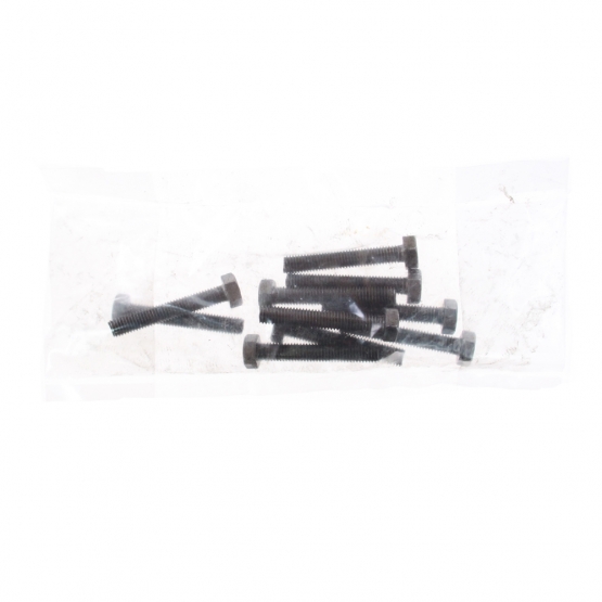 Skrutky so šesťhrannou hlavou M8x50, 200g