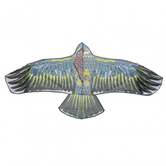 Lietajúci drak orol var.4