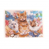 Maľovanie podľa čísel Mačiatka