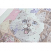 Maľovanie podľa čísel Mačiatka