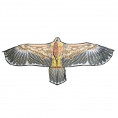 Lietajúci drak orol var.2