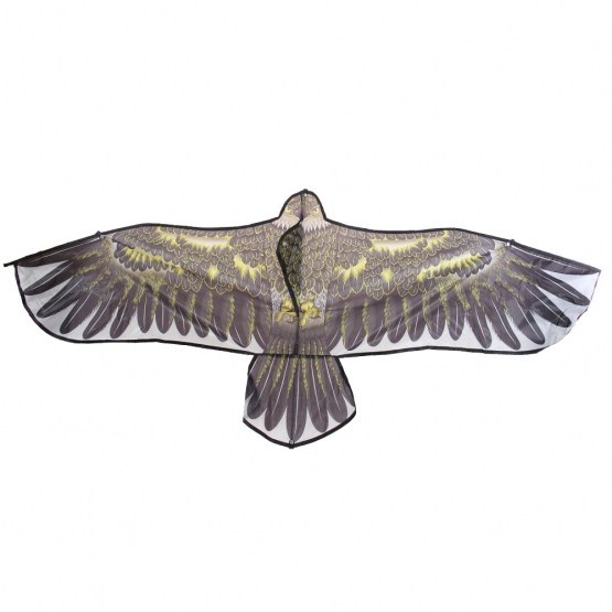 Lietajúci drak orol var.2