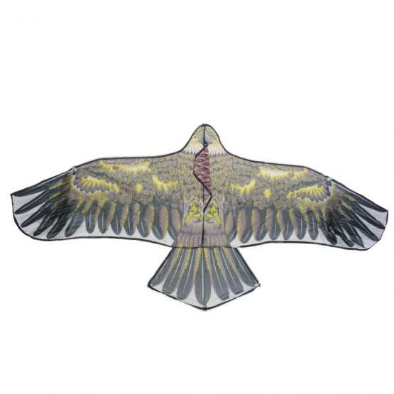 Lietajúci drak orol var.4