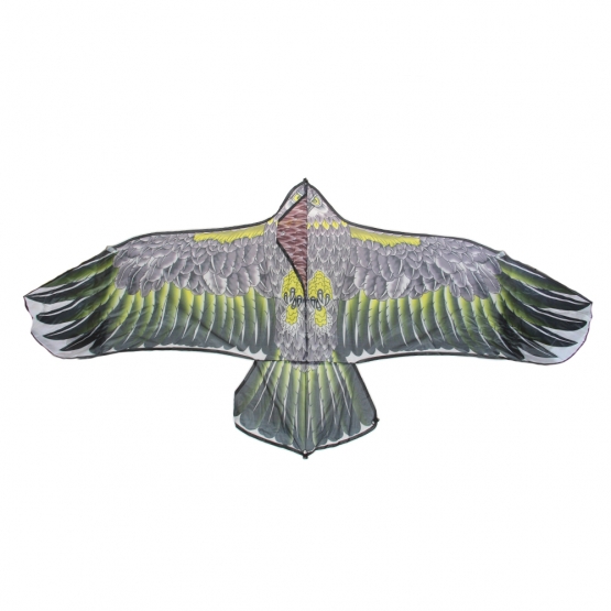 Lietajúci drak orol var.4