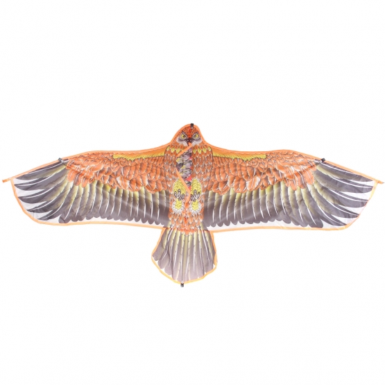 Lietajúci drak orol var.2