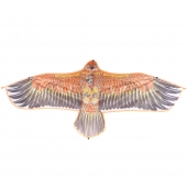 Lietajúci drak orol var.2