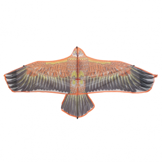 Lietajúci drak orol var.2