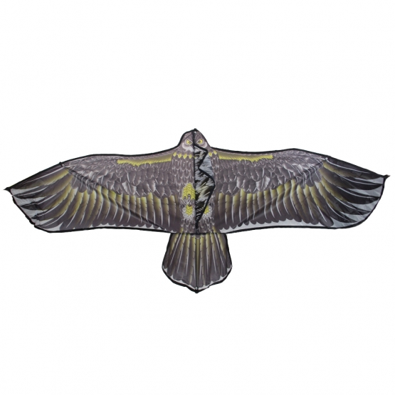 Lietajúci drak orol var.2