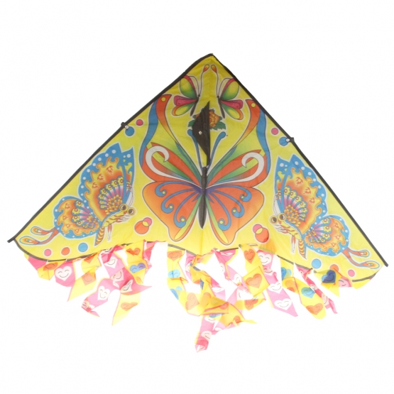 Lietajúci drak var.1