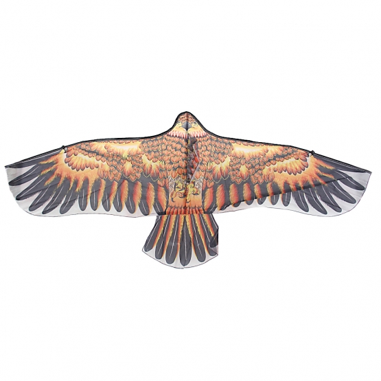 Lietajúci drak orol var.1