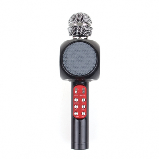 Karaoke mikrofón WS-1816