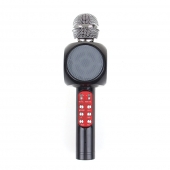 Karaoke mikrofón WS-1816